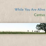 While You Are Alive