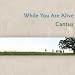 Music : While You Are Alive