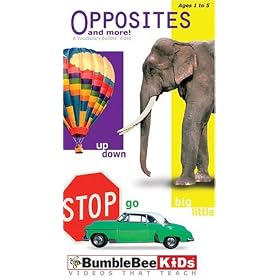 Opposites and More by