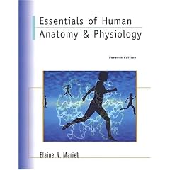 Essentials of Human Anatomy and Physiology