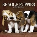 Beagle Puppies 2007 Mini Calendar