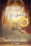 HISTORICAL MYSTERY ROMANCE: A Trial of Secrets: (Regency Mystery Romance, Victorian Mystery Romance, Historical Romance) (Fire In My Heart Series Book 5)