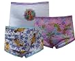 Disney Fairies Tinkerbell and Friends 3 Pack Toddler Panties for girls