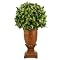 Ash Faux Ball in Tall Round Vase - Green