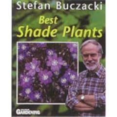 Best Shade Plants