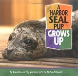 A Harbor Seal Pup Grows Up (Baby Animals)