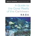 A Guide to the Coral Reefs of the Caribbean by  Mark D. Spalding and Corinna Ravilious