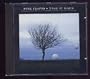 Take It Back / Astronomy Domine