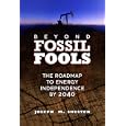 Beyond Fossil Fools: The Roadmap to Energy Independence by 2040 by  Joe Shuster