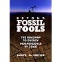 Beyond Fossil Fools: The Roadmap to Energy Independence by 2040