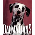 dalmatians  little books  by julie mars  hardcover   1996    import