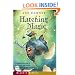 Hatching Magic