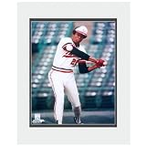 Photo File Minnesota Twins Rod Carew Matted Photo