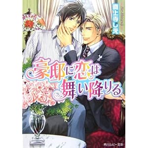 ���@�ɗ��͕����~��� (�p�샋�r�[����)