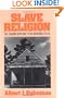 Slave Religion: The "Invisible Institution" in the Antebellum South (Galaxy Books)