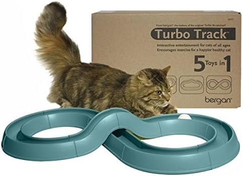 Turbo Track Cat Toy