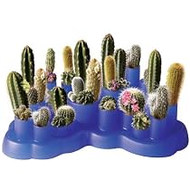 Scientific Explorer's Cactus Garden Desert Garden Kit
