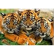 Tiger Cubs 150pc Jigsaw Puzzle