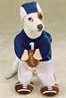 MEDIUM - FOOTBALL FEVER - Pet Halloween Costume