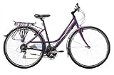 2010 Raleigh Pioneer Metro GLX 18 Ladies Hybrid Bike