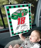  : J.J. Yeley #18 Sunshade