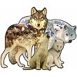 Wolf Song Shaped Jigsaw Puzzle by Dennis Rogers 1000pc