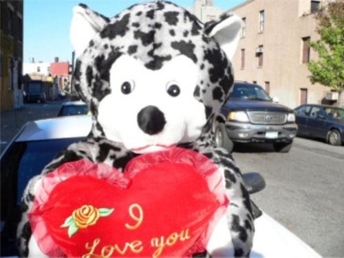 51DU7n874eL GIANT 60 TEDDY BEAR HOLDING I LOVE YOU HEART   COLOR: BLACK AND GRAY POLKADOTS   PERFECT FOV VALENTINES DAY OR ANY DAY   AMERICAN MADE IN THE USA AMERICA