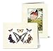 Note Card Cafe All Occasions Greeting Card with Envelopes | 36 Pack | Blank Inside, Glossy Finish | 12 Various Vintage Butterflies Designs | Assorted Set for Greeting Cards, Corporate, Friends