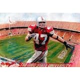 A.J. Hawk (In Action, Ohio State Stadium) Sports Poster Print - 11x17