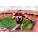 A.J. Hawk (In Action, Ohio State Stadium) Sports Poster Print - 11x17