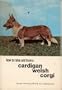 How to raise and train a Cardigan Welsh corgi,