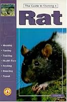 The Guide to Owning a Rat