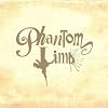 Phantom Limb