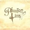 Image of album by Phantom Limb