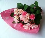 �����b�N�X�ł���A�Ƃ��Ă����̃s���N�O���f�[�V���� -�s���N�~�b�N�X-