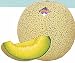 Japanese Netted Melon Ichiba Kouji Seeds .5 Grams