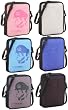Nintendo DS Game Traveler