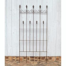 �C���O�����h�g�����XS�i����153cm�A��73.5cm�j