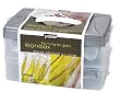 Pebeo Vitrail - 10 x 45ml Glass Paints, Gold Outliner, Brush, Sponge & Palette in a Durable Twin-Tray Workbox