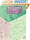 Bioenergetics at a Glance: An Illustrated Introduction