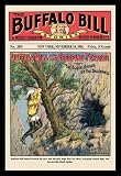 The Buffalo Bill Stories: Buffalo Bill and the Creeping Terror 20x30 poster