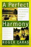 A Perfect Harmony