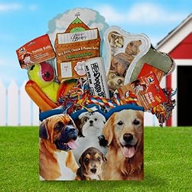 JGB Man's Best Friend