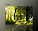 Produkt-Bild: SUPER Wandbild auf Leinwand (green_light_80x120cm) Ruhe Stille Harmonie Bilder fertig gerahmt auf Keilrahmen xxl. Kunstdruck auf Leinwand. G&uuml;nstig inkl Rahmung