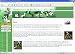 1000 Homepages für Frontpage