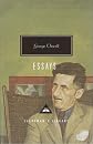 Essays (Penguin Modern Classics)