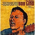 The Elusive Bob Lind