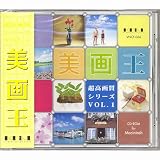 超高画質シリーズ Vol.1 美画王
