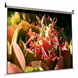 Focupix HDVio 4:3 High Contrast Grey Electric Screen - 90 Inch-w/Dual remote & 12V trigger
