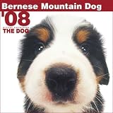 Bernese Mountain Dog The Dog 2008 Wall Calendar